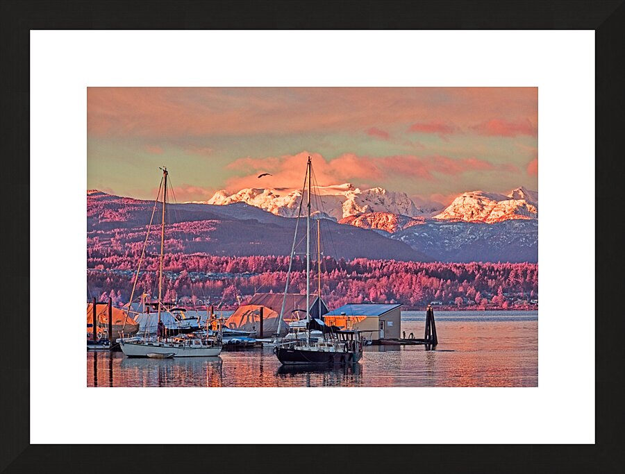 Full Light Spectrum Sunrise At Comox Harbour 4 Picture Frame print
