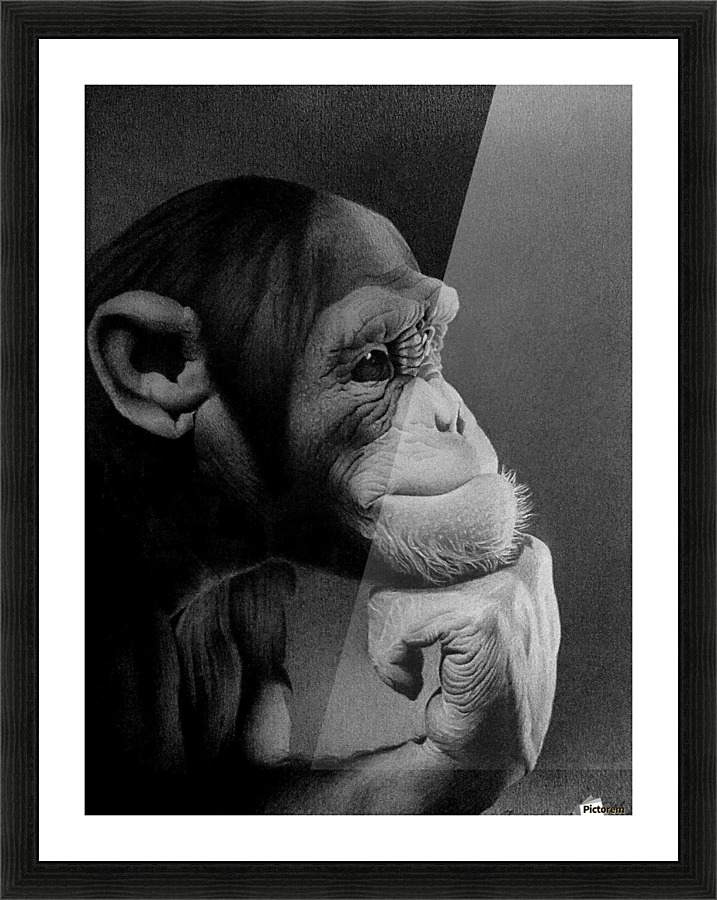 THE THINKER  Picture Frame print