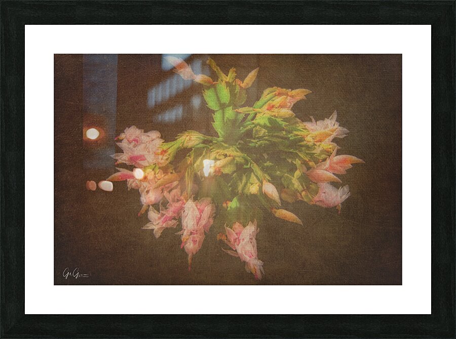  Fine Art print