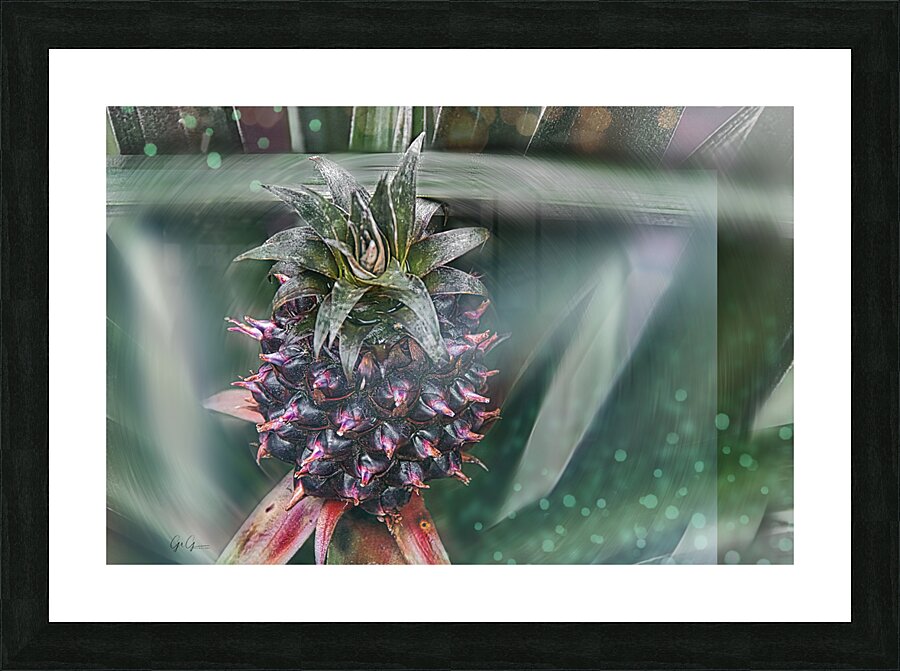  Fine Art print