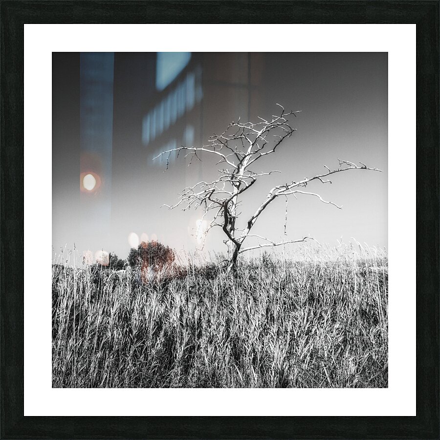 Solitaire Impression et Cadre photo