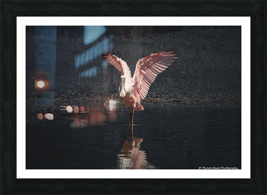 Fine Art print