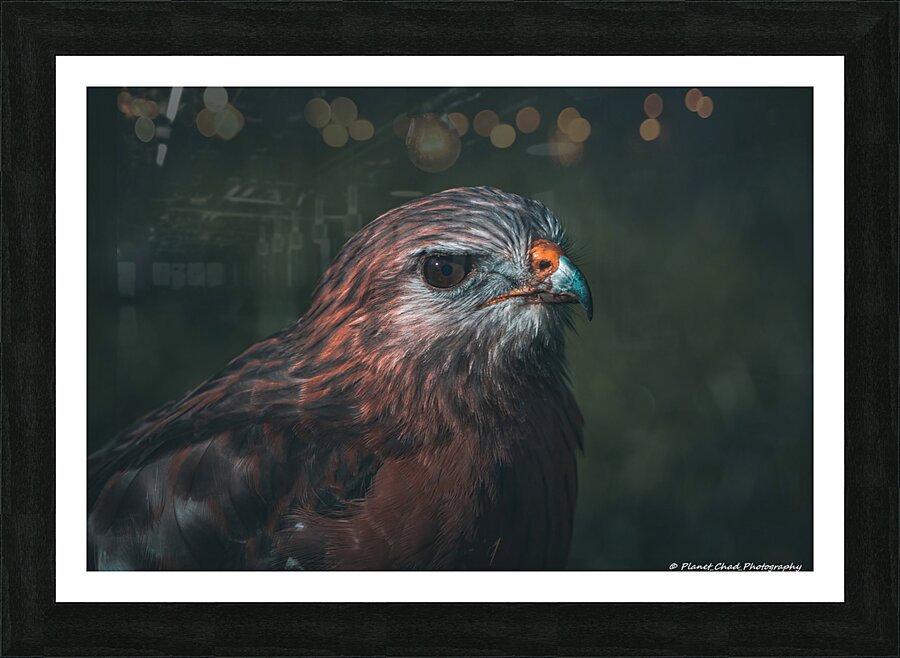  Fine Art print