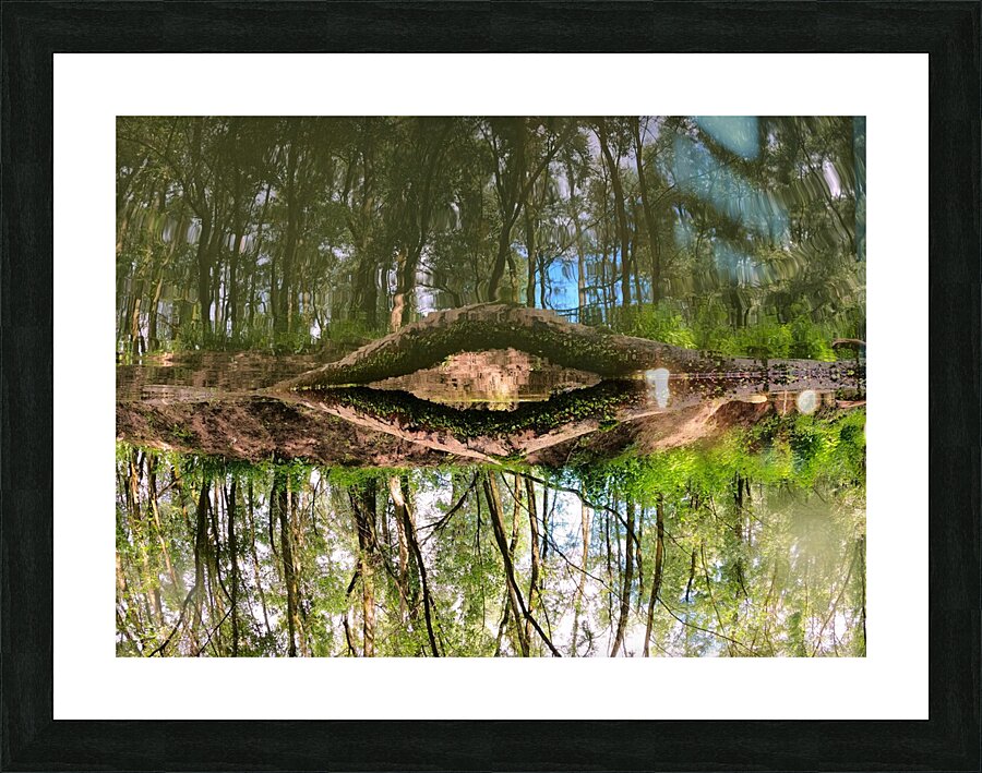 Eye Of Gaia Picture Frame print