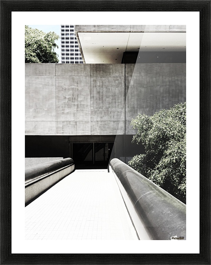 BONNAVENTURE VIII Picture Frame print