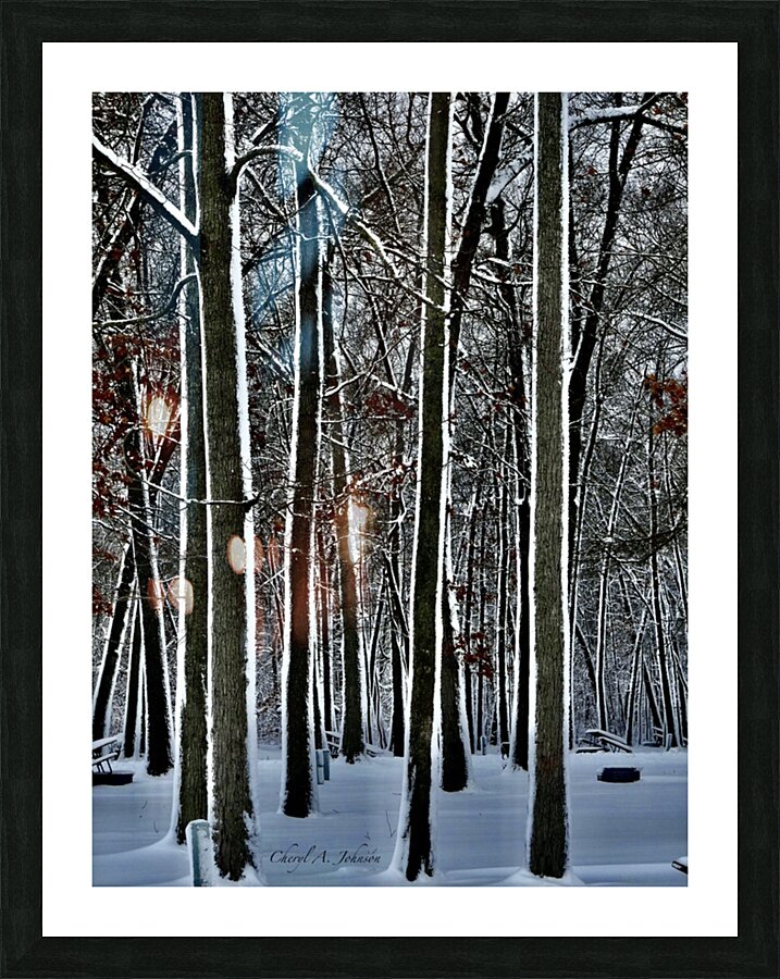 Trees Outlined with Snow  Picture Frame Printing