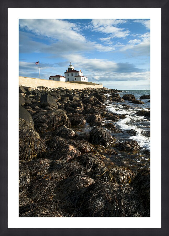Seaweed Covered Rocky Shore at Watch Hill Light At Low Tide in Rhode Island Picture Frame print