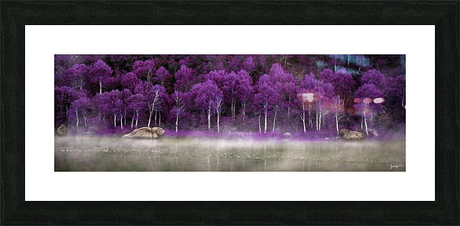 Purple Palette  Picture Frame print