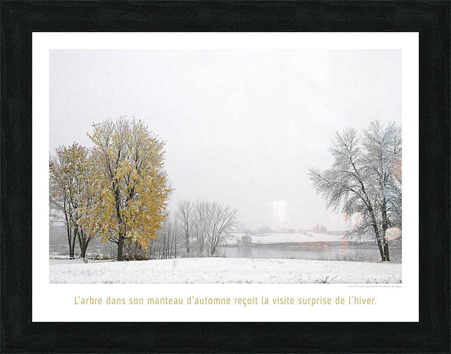 FRISSON DE SAISON Picture Frame print