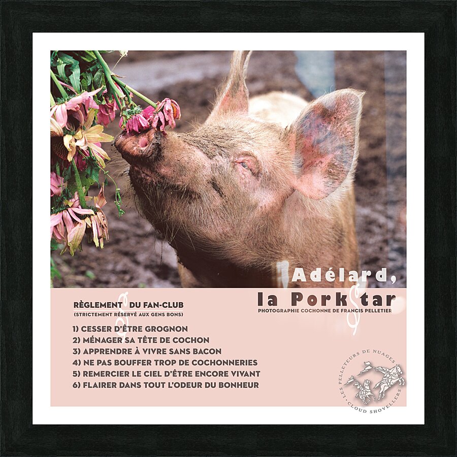 ADELARD LA PORKSTAR  Framed Print Print