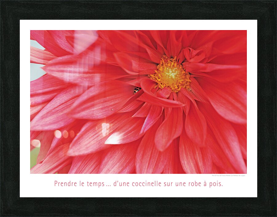 LA SIESTE Picture Frame print