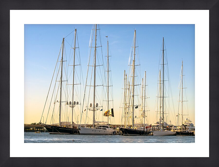 Tall Sailing Vessels in Newport Rhode Island Picture Frame print