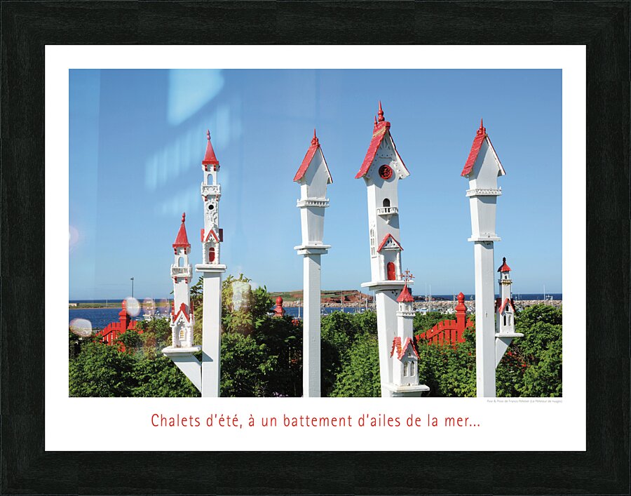 UN VOYAGE DANS LE NORD Picture Frame print