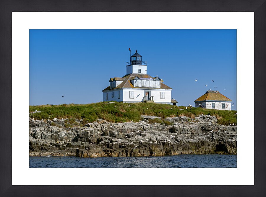 Egg Rock Light is Part of a Protected Seabird Nesting Sanctuary in Maine Picture Frame print
