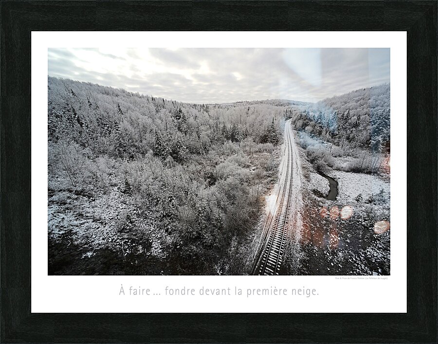 LA VOIE GLACEE Picture Frame print