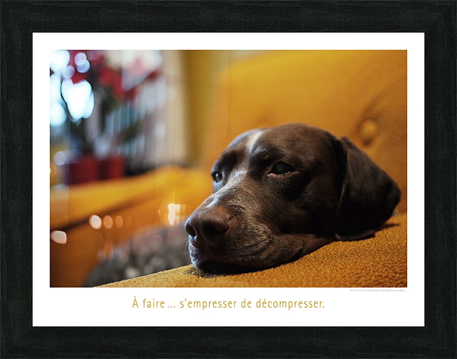 PRESSEZ LA DETENTE Picture Frame print