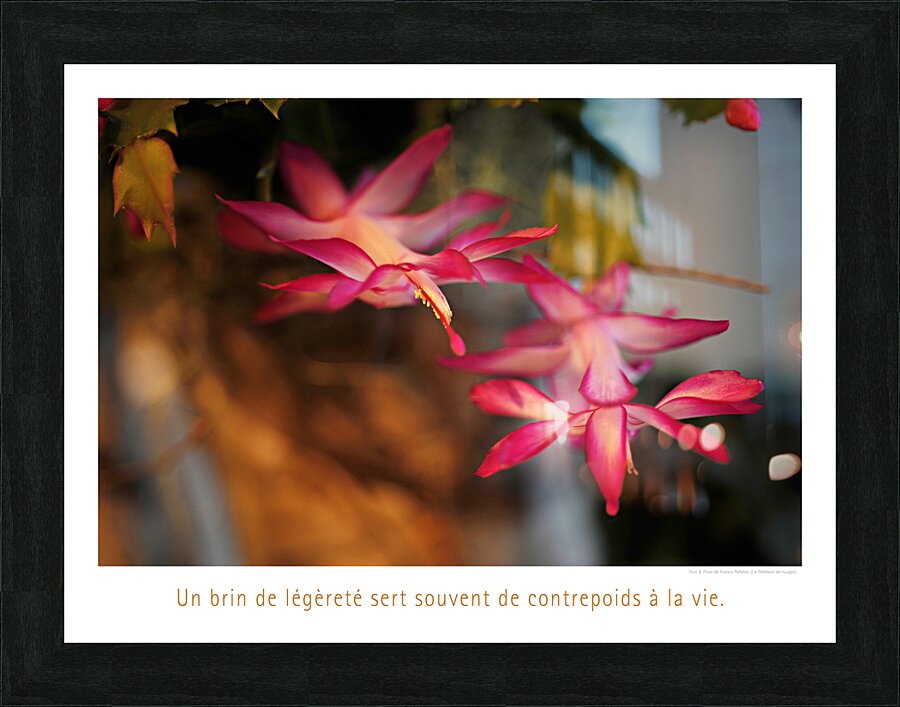 POIDS PLUME Picture Frame print