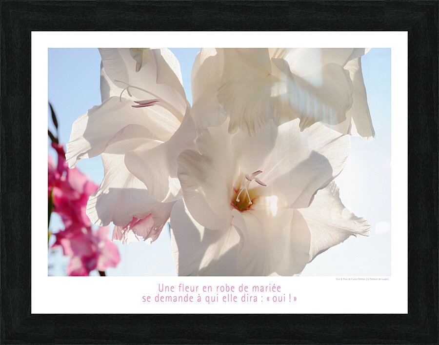 VIVE LA MARIEE Picture Frame print