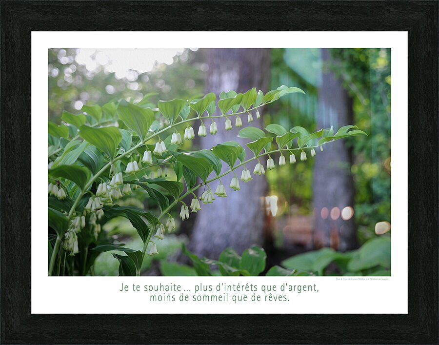 LES CLOCHETTES Picture Frame print