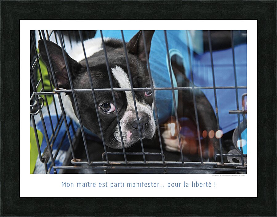 CACHOT Impression et Cadre photo