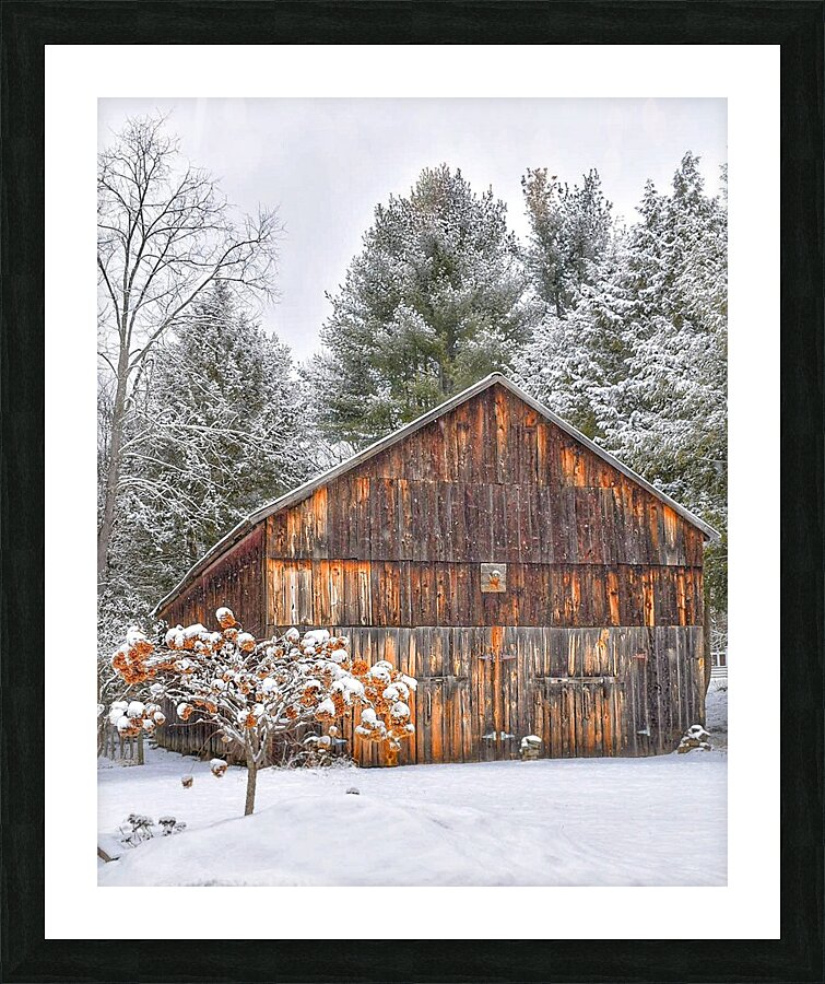 G20 Among the Pines Picture Frame print