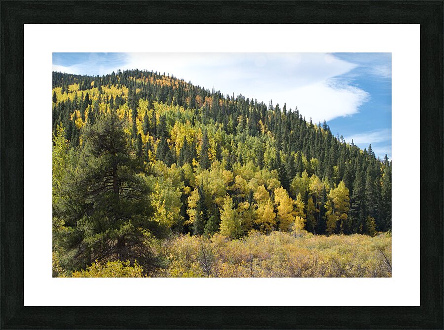 Fall Colors 3 Picture Frame print