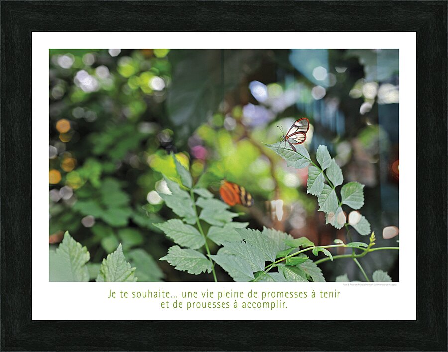 PROMESSES DE PROUESSES Picture Frame print