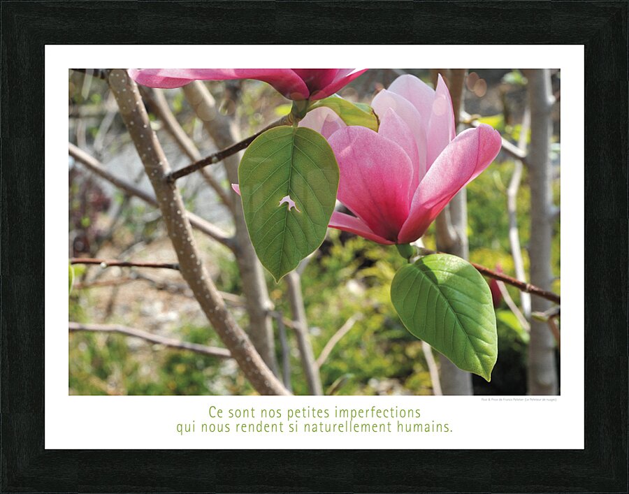 ELOGE DE L IMPERFECTION Picture Frame print