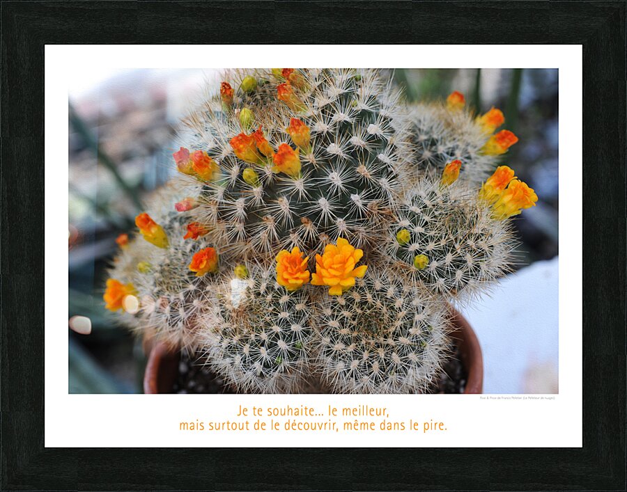DES FLEURS SUR UN LIT D EPINES Picture Frame print