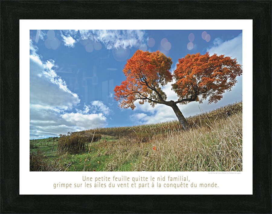 LE GRAND VOYAGE Picture Frame print