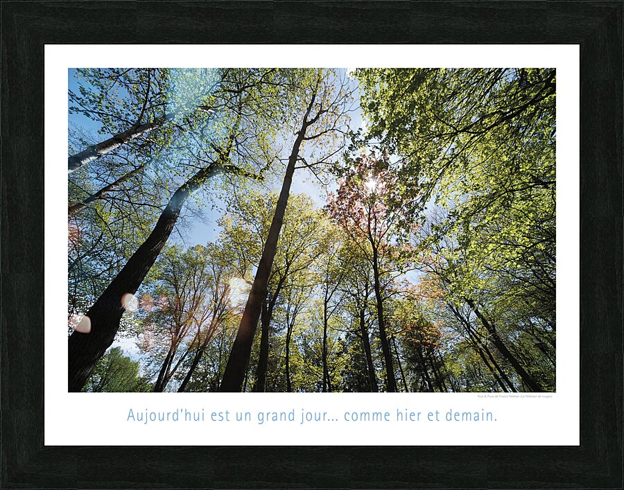 HETRE OU NE PAS Picture Frame print