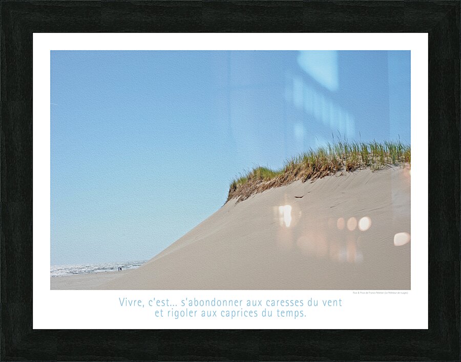 LACHE PRISE Picture Frame print