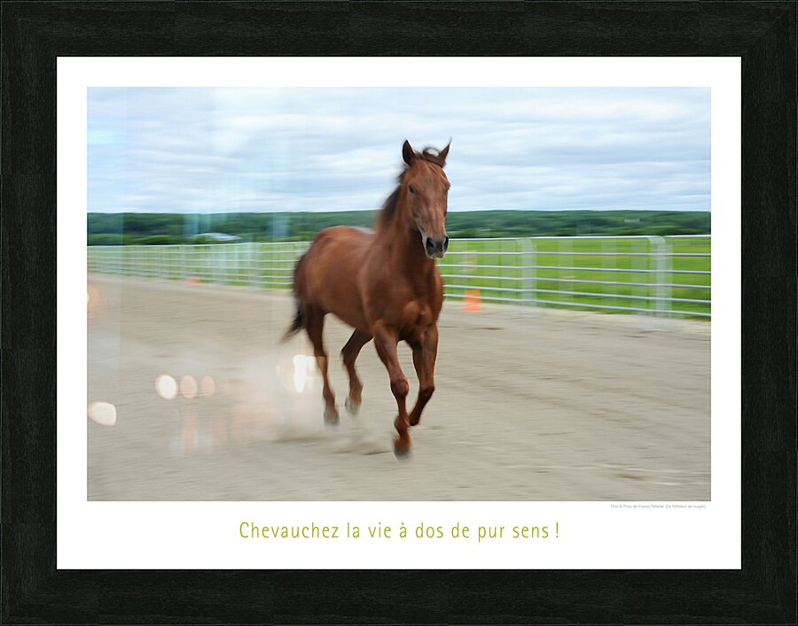 PUR SENS Picture Frame print