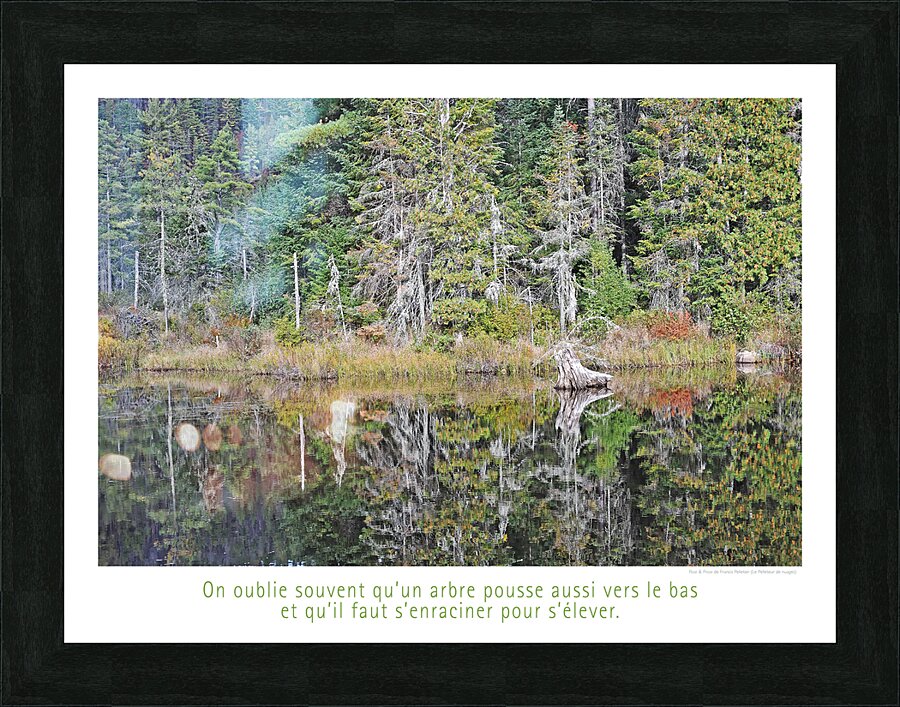 LE MIROIR Picture Frame print