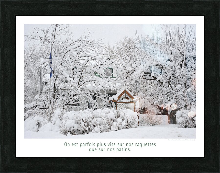 SOUS LA NEIGE Picture Frame print