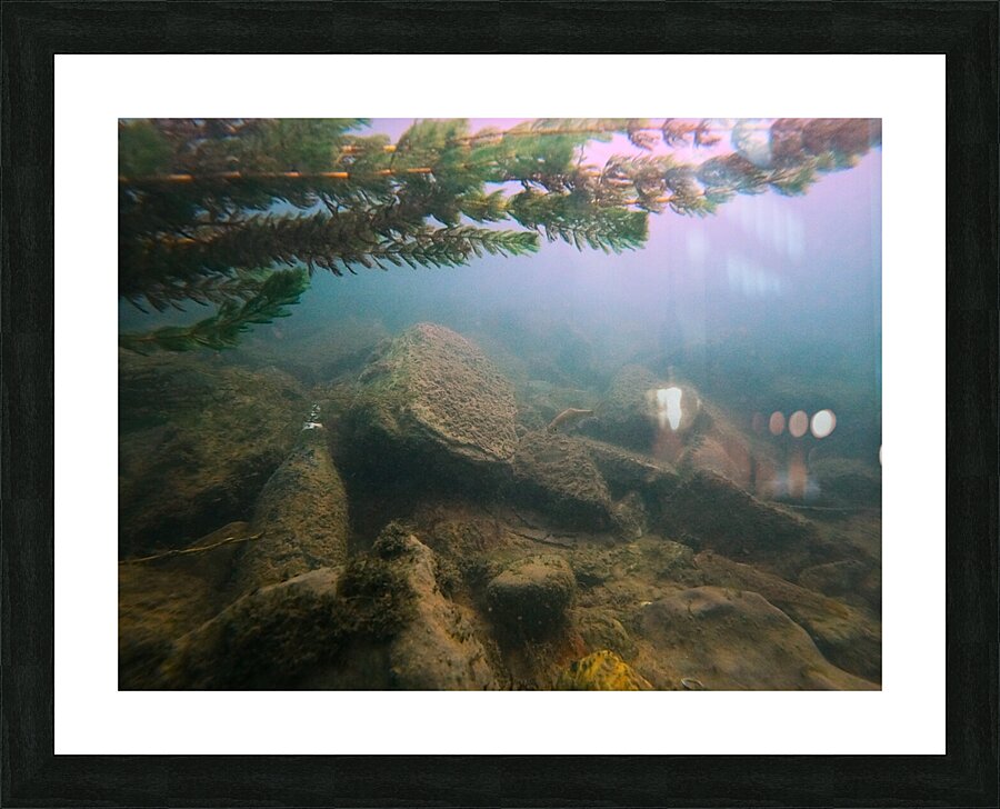 Crouching Whitefish Hidden Bottle Picture Frame print