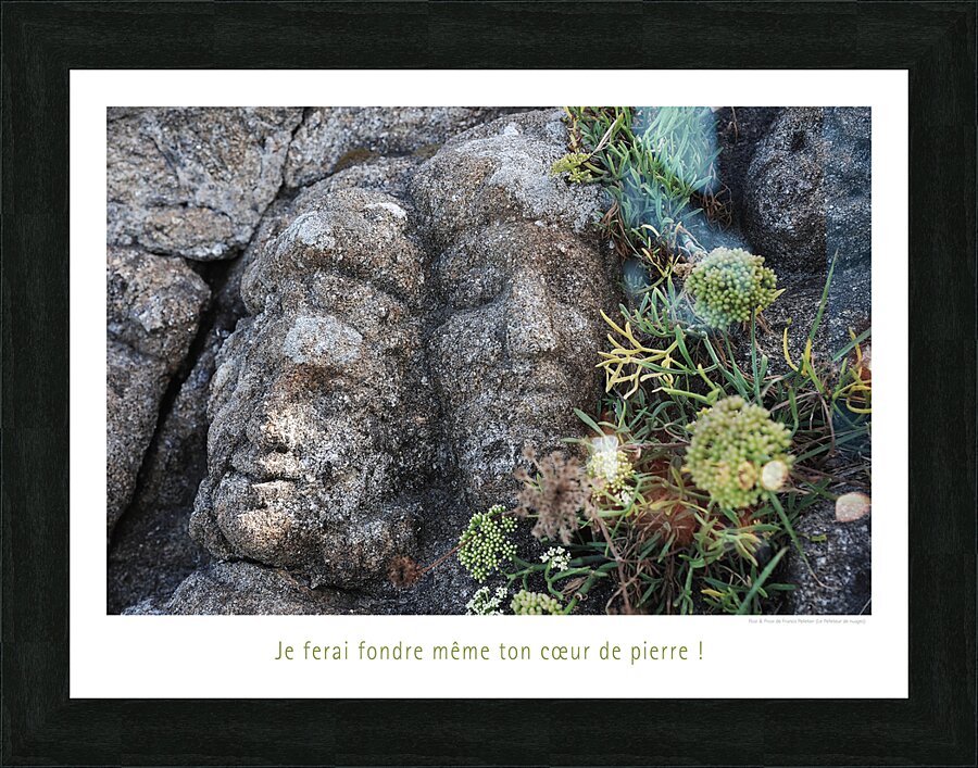 LES TETES DURES Picture Frame print