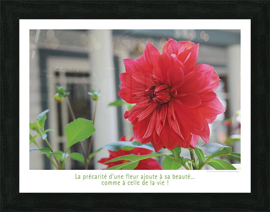 L EPHEMERE Picture Frame print