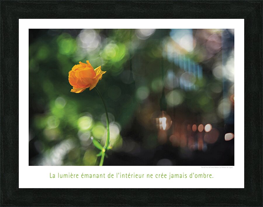 ILLUMINEE Picture Frame print