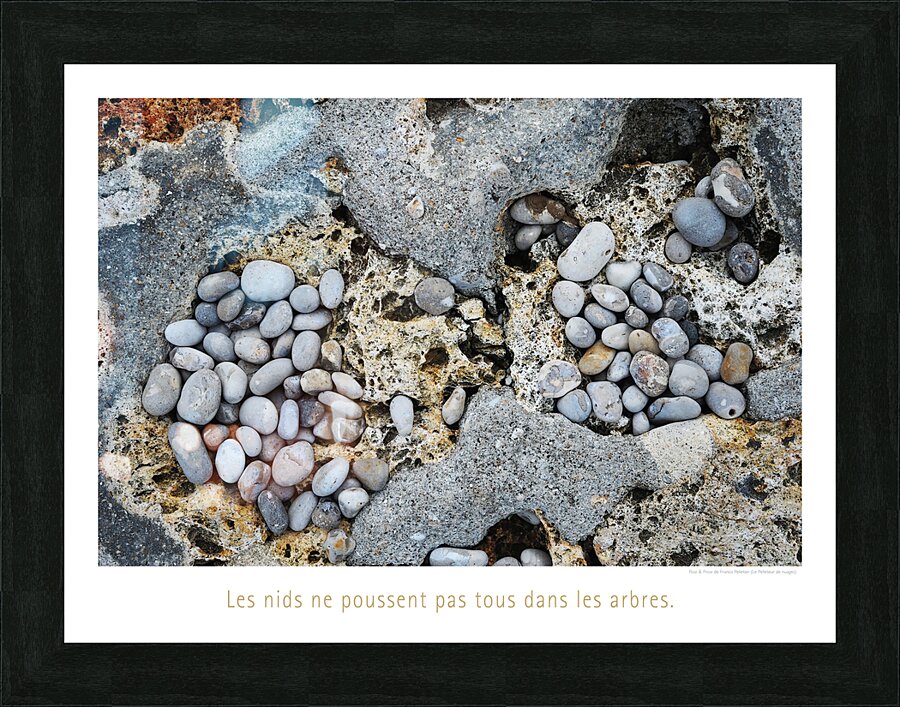 LES NIDS Picture Frame print