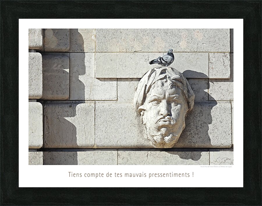 LE PRESSENTIMENT Picture Frame print