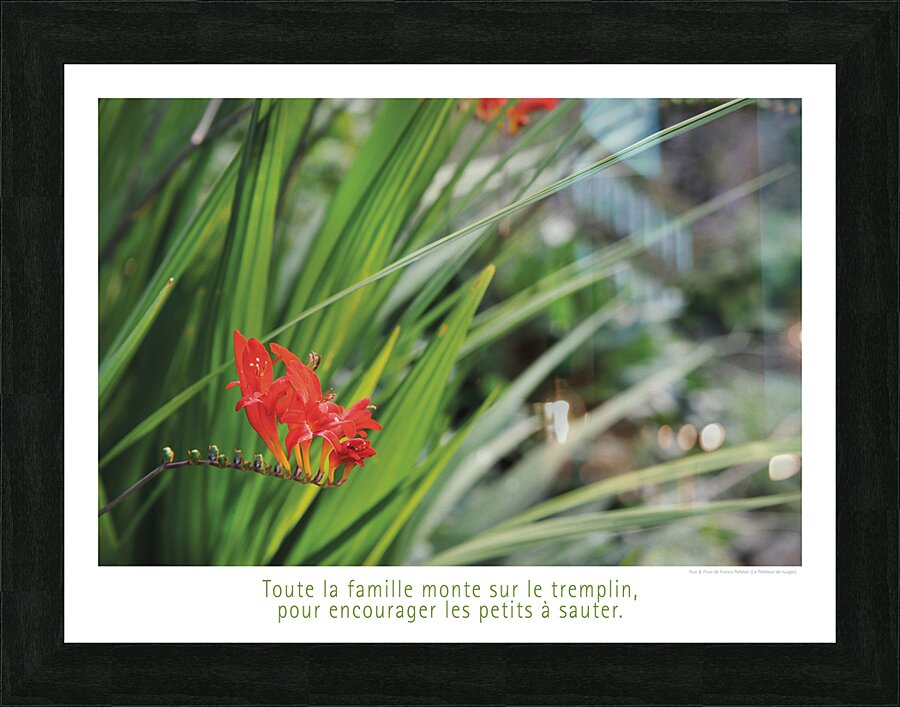 LE TREMPLIN Picture Frame print