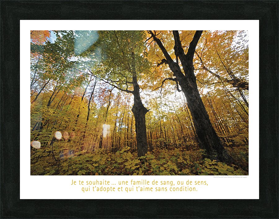 UNE FAMILLE DE SENS Picture Frame print