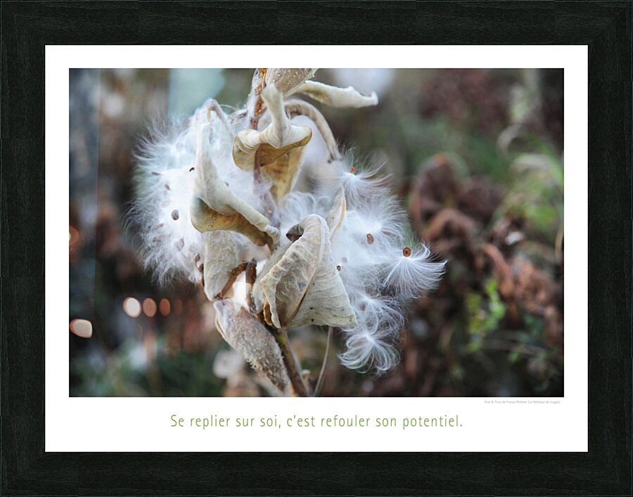 LE POTENTIEL Picture Frame print
