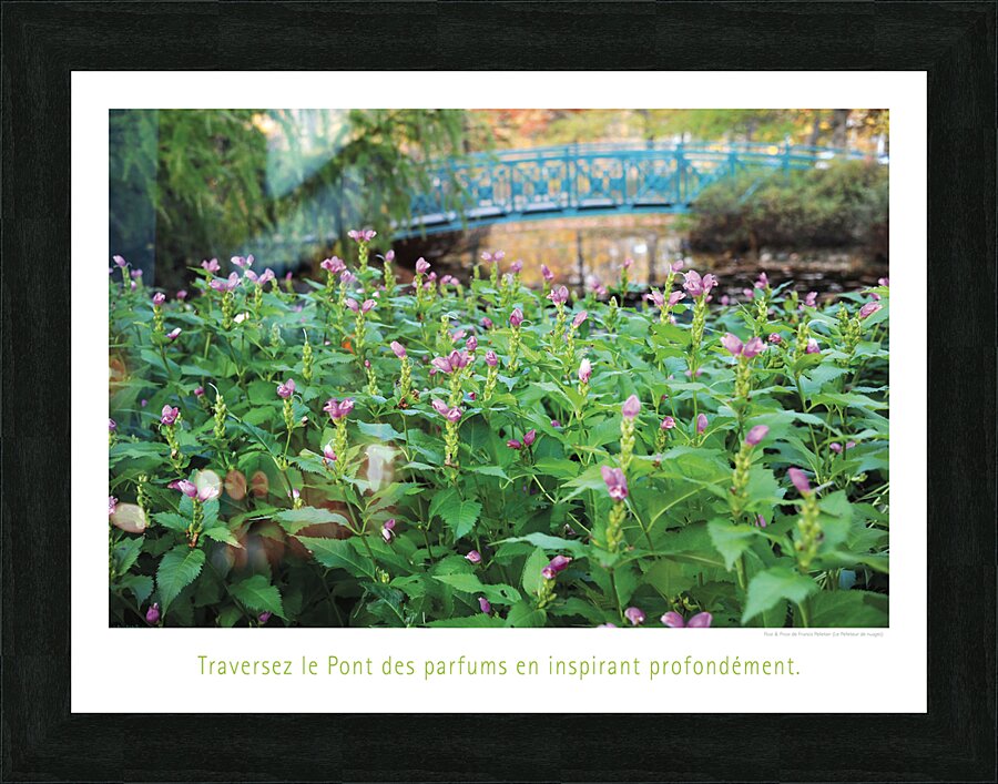 A VUE DE NEZ Picture Frame print