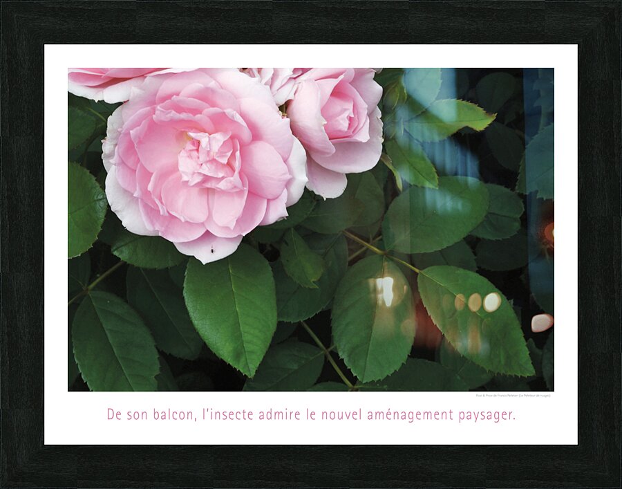 VUE DU BALCON Picture Frame print