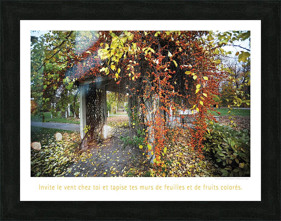 TAPISSERIE 3D Picture Frame print