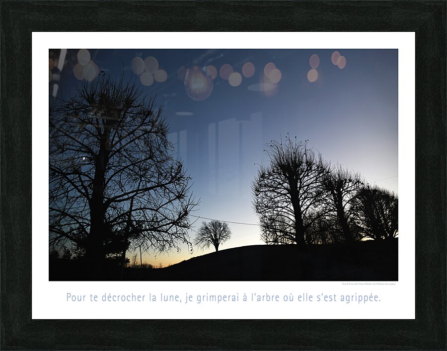 APPORTEZ LA GRANDE ECHELLE Picture Frame print