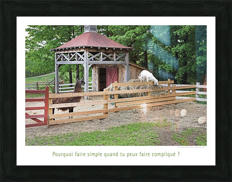 ACROBATE EN HERBE Picture Frame print