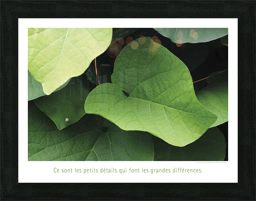 LES PETITS DETAILS Picture Frame print